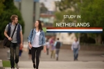 We invite you to the webinar «Study in Holland» on September 8 at 17.00 Moscow time!