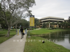 Florida International University, Miami (14)