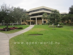 Florida International University, Miami (17)